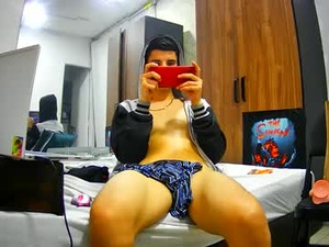 Screenshot from thegrein webcams