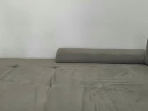 Screenshot from thelby webcams