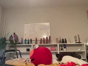 Screenshot from theslipperysalope webcams