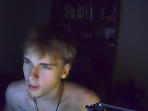 Screenshot from thevincegray webcams