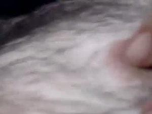 Screenshot from thiccbearsmall webcams