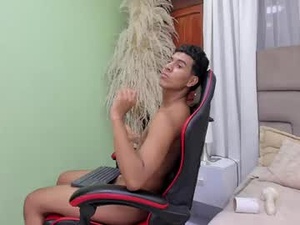 Screenshot from thomas_valkov webcams