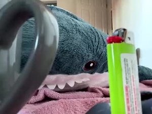 Screenshot from thorstydevil webcams