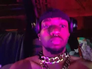 Screenshot from threefreaknyc webcams