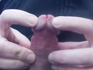 Screenshot from tico_15 webcams