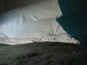 Screenshot from ticojosbi webcams