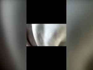 Screenshot from tim0451 webcams