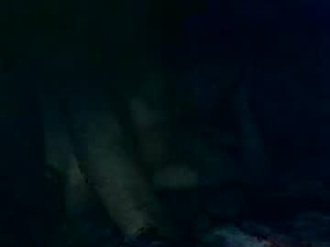 Screenshot from timbowwow webcams