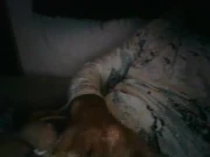 Screenshot from tinman2206 webcams