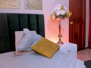 Screenshot from tinnamoon webcams