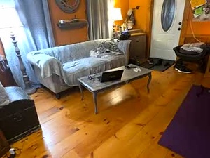 Screenshot from tnt_tinyntroubble webcams