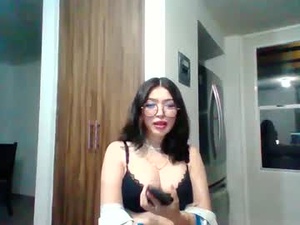 Screenshot from toki0st webcams