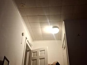 Screenshot from tonetanight webcams