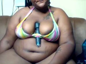 Screenshot from toowildtotame webcams