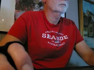 Screenshot from toreeman webcams