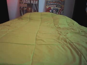 Screenshot from torosko webcams