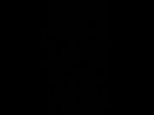 Screenshot from toryveinz webcams