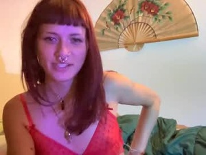 Screenshot from transinmourning webcams