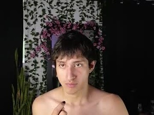 Screenshot from troyskarz webcams