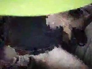 Screenshot from ts950295 webcams