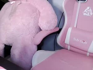 Screenshot from tublancopapi webcams