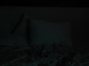 Screenshot from twelveeek webcams