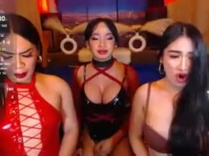 Screenshot from twinklexi webcams