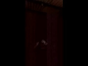 Screenshot from twinkvibes115842 webcams