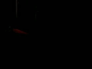 Screenshot from twozero9 webcams