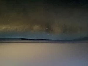 Screenshot from txsizedhog420 webcams