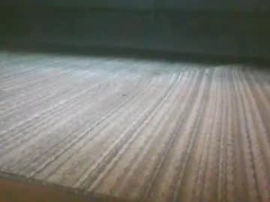 Screenshot from up4grabbys webcams