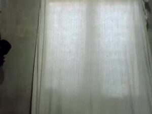 Screenshot from urasianhazel webcams