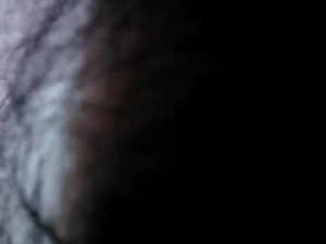 Screenshot from utahdog webcams