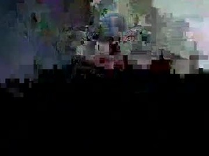 Screenshot from veiledsiren webcams
