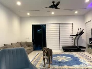 Screenshot from velvettgirl webcams