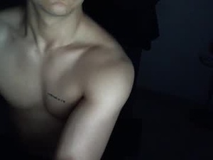 Screenshot from venseth webcams