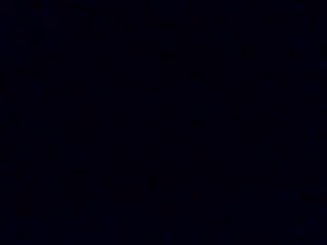 Screenshot from venusinflesh webcams