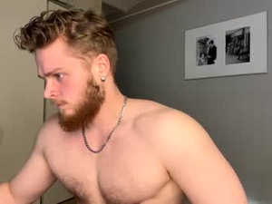 Screenshot from victortransman webcams