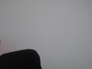 Screenshot from violettouse webcams