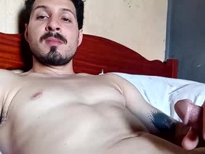 Screenshot from vulgorobson6 webcams