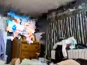 Screenshot from wackmywood webcams