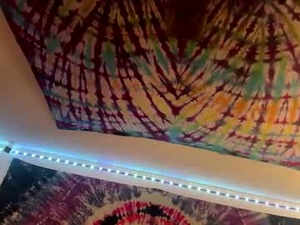 Screenshot from watercompany webcams