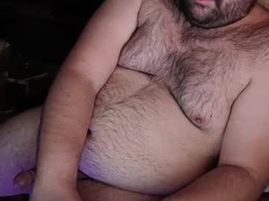 Screenshot from webarebuttbears webcams