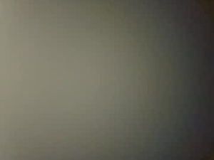 Screenshot from wetwordsonly webcams