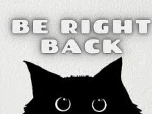 Screenshot from whiterabbit342 webcams