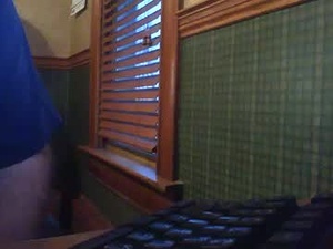 Screenshot from whydog webcams