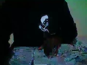 Screenshot from wild71704513716 webcams