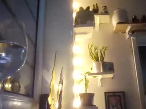 Screenshot from wildcrazypussy webcams