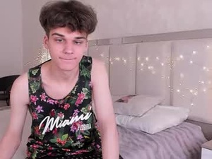 Screenshot from williemiler webcams