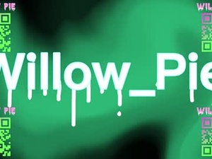 Screenshot from willow_pie webcams